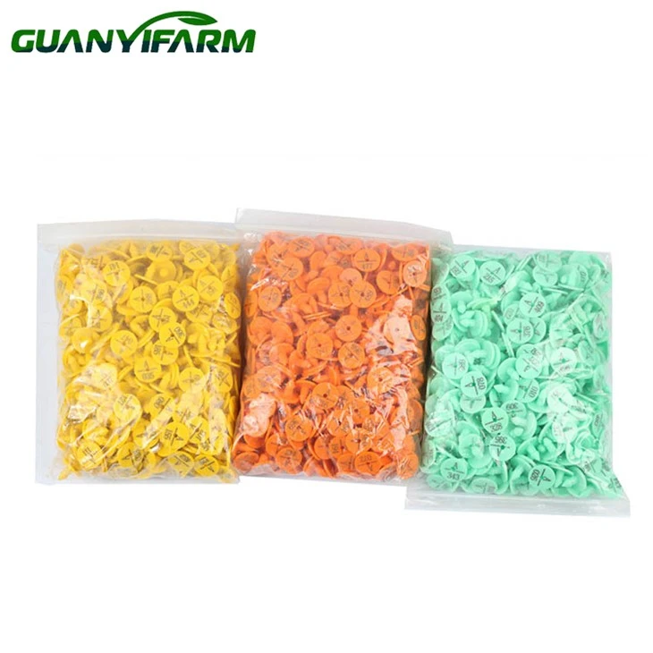 Rabbit Ear Tags