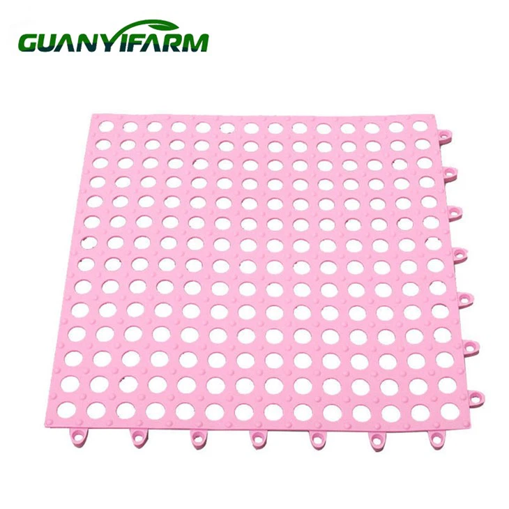 Sàn gỗ nhựa con thỏ