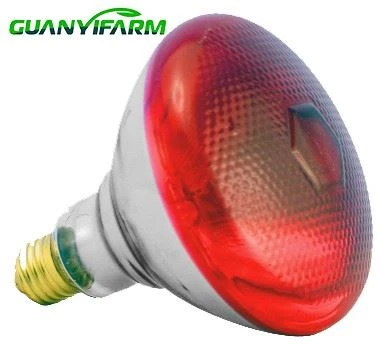 Bóng đèn nhiệt hồng ngoại màu đỏ để sưởi ấm động vật