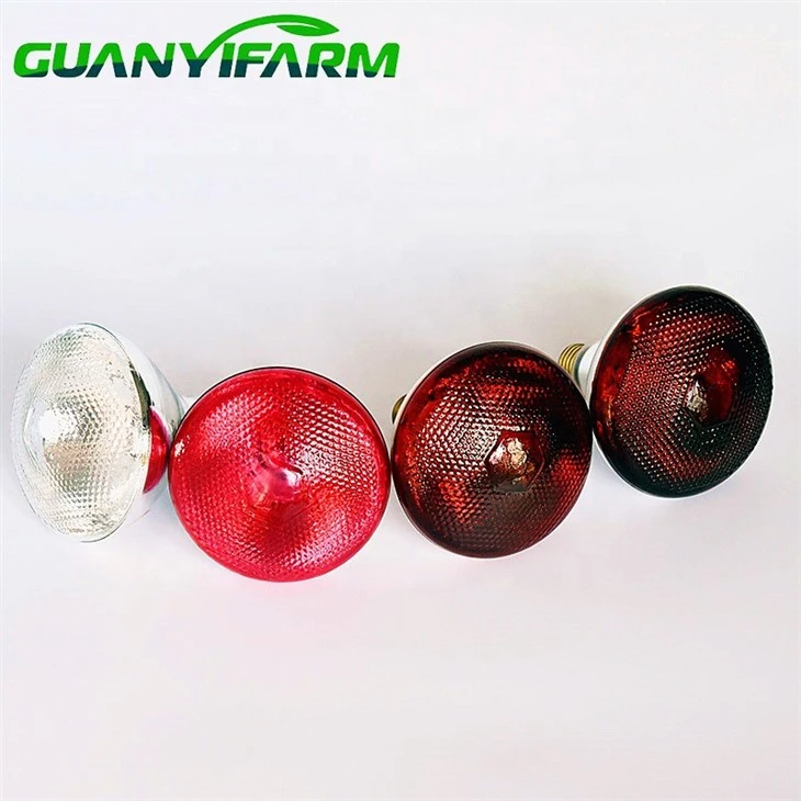Red Infrared Heat Bulb For Animal Warming