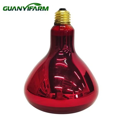 Đèn nhiệt hồng ngoại đỏ