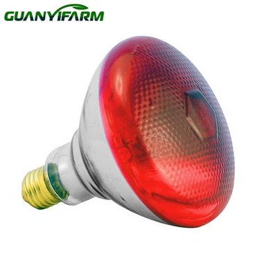 Đèn đỏ hồng ngoại