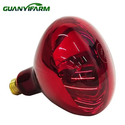 Đèn cho bóng đèn nhiệt
