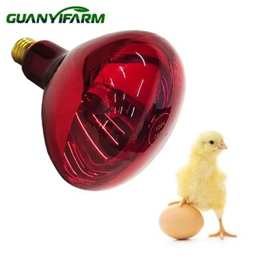 Đèn nhiệt hồng ngoại gia cầm