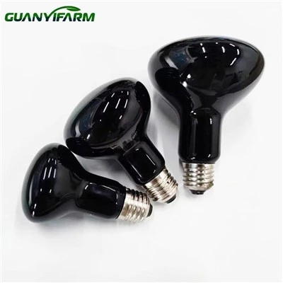 Đèn sưởi ban đêm bò sát